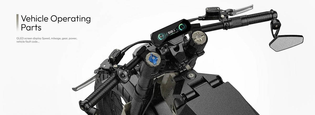 SLDBK Electric Motorcycles 12000W Peak Electric Bike New Adult Off Road Ebike Electric Dirt Bike 72V50AH Lithium Battery E-bike